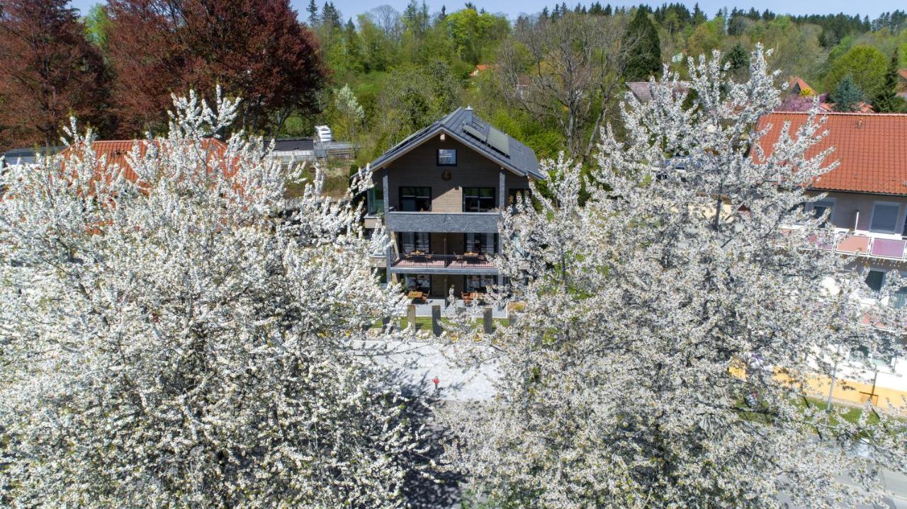 Invita Natur-Chalets Penthouse - Familienurlaub Im Schwarzwald - 240Qm Bad Dürrheim Kültér fotó